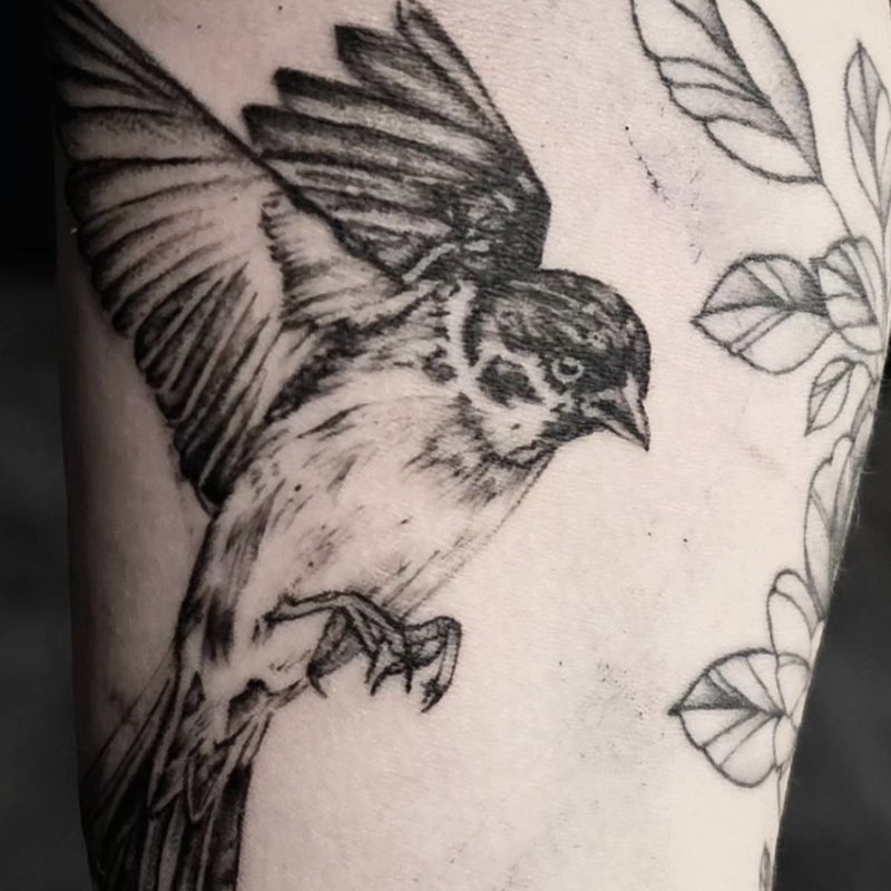 Vogel Fineline Tattoo